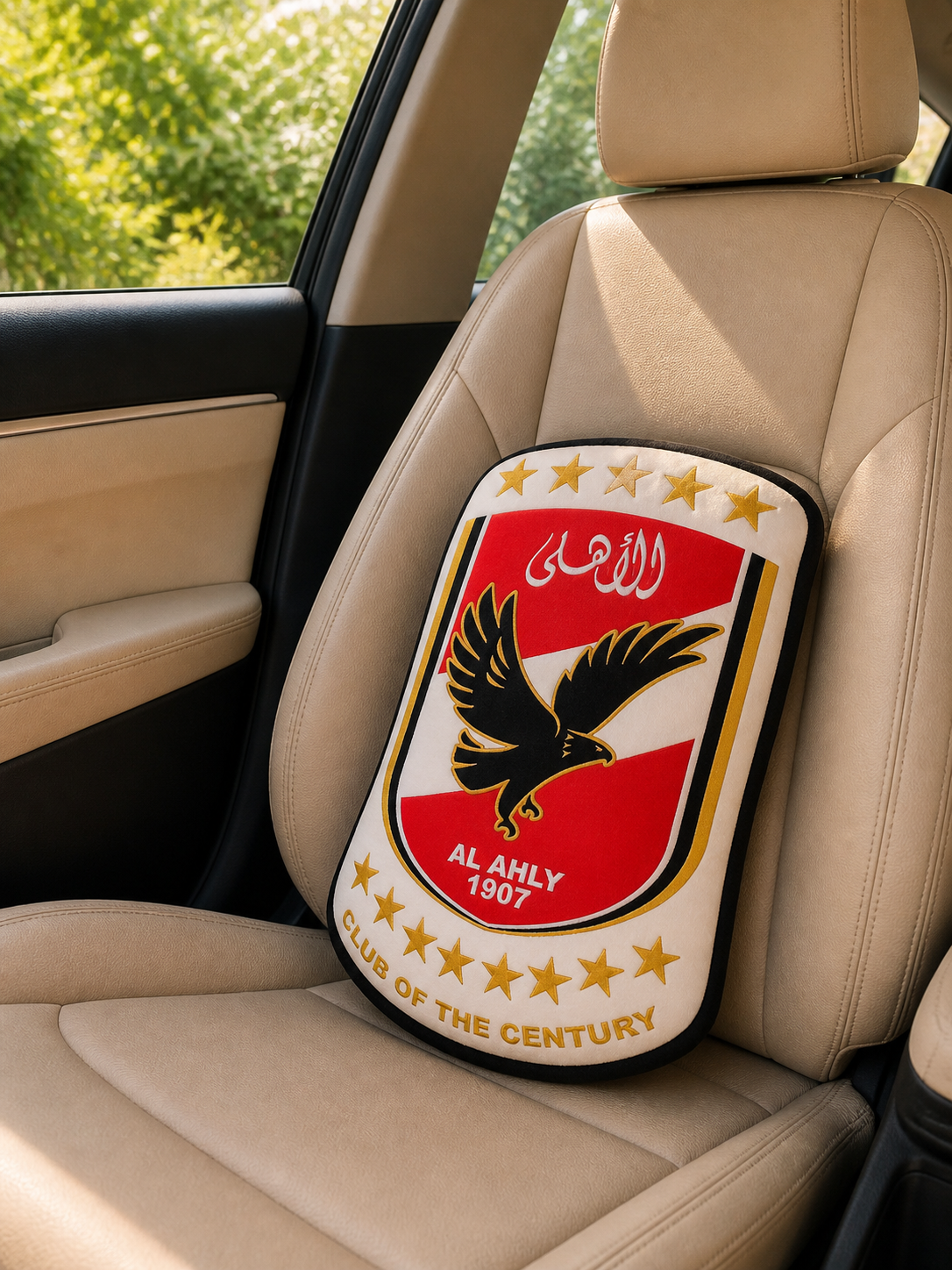 Al Ahly Cushion