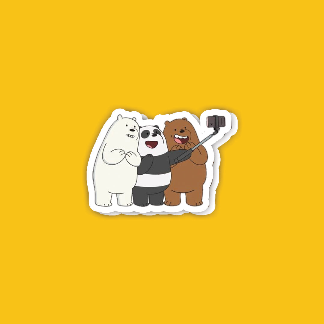 C12 We Bare Bears