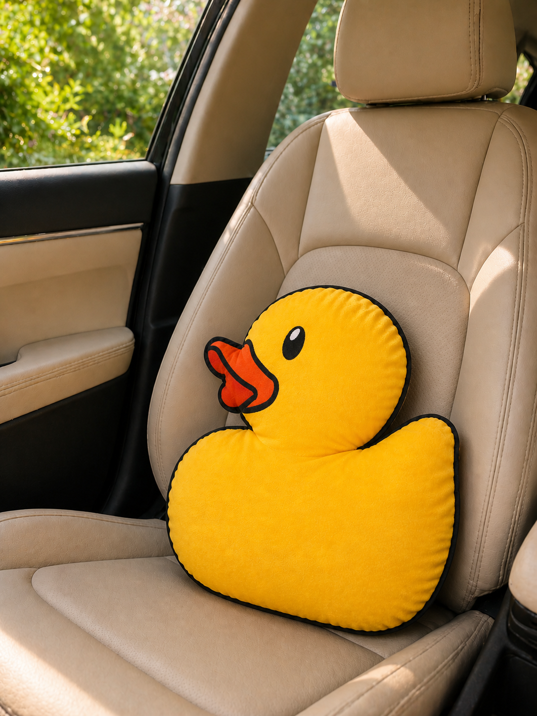 Duck Cushion