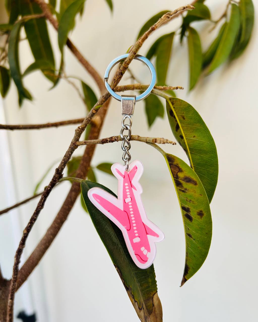 Pink Plane Keychain
